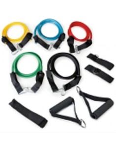 Set Elásticos Softee 0018150