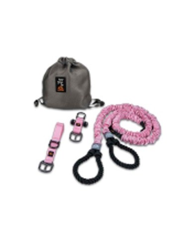 Entrenamiento en Suspensión Auster...