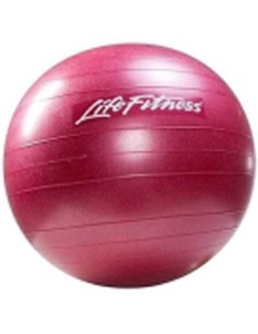 Gym Ball Life Fitness Stability Ball 65cm Rojo
