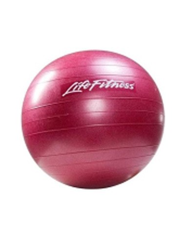 Gym Ball Life Fitness Stability Ball...