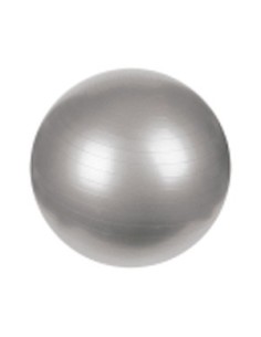 Gym Ball Mets Fitness PF-7020-65 Gris 65cm